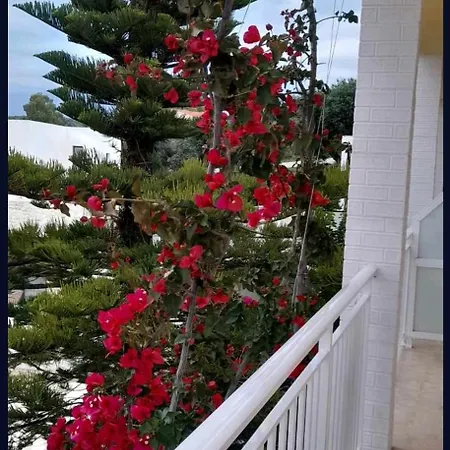 Appartement Angelos Aparts11 Arillas (Corfu)